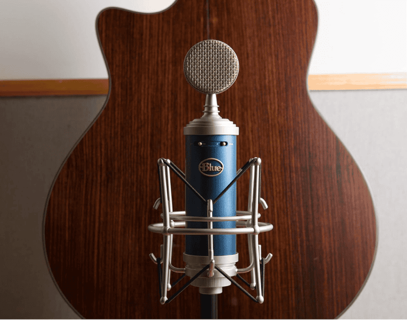Blue Bluebird Microphone Review